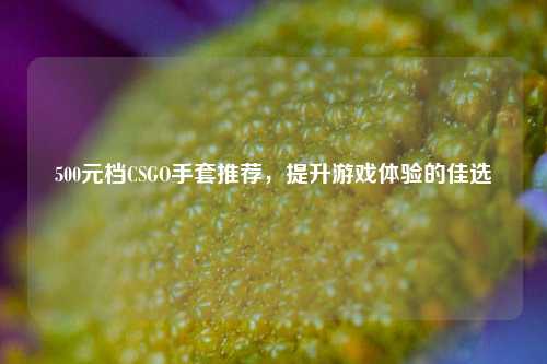500元档CSGO手套推荐,提升游戏体验的佳选