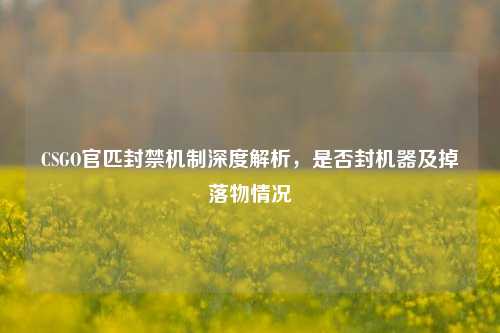 CSGO官匹封禁机制深度解析,是否封机器及掉落物情况