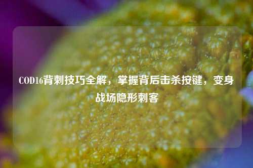 COD16背刺技巧全解,掌握背后击杀按键,变身战场隐形刺客