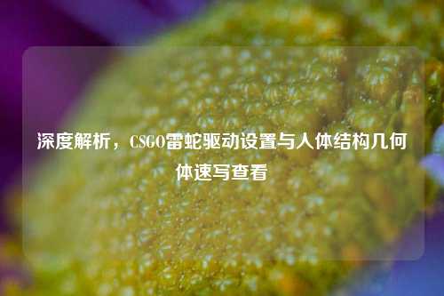深度解析,CSGO雷蛇驱动设置与人体结构几何体速写查看