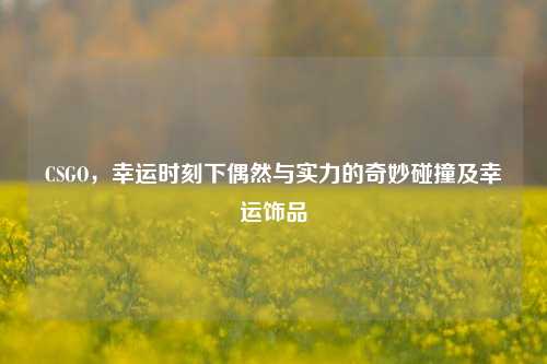 CSGO,幸运时刻下偶然与实力的奇妙碰撞及幸运饰品