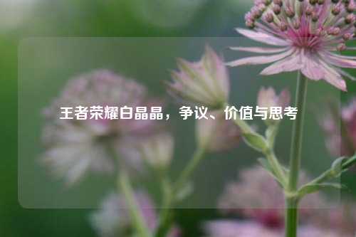 王者荣耀白晶晶,争议、价值与思考