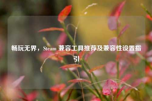 畅玩无界，Steam 兼容工具推荐及兼容性设置指引