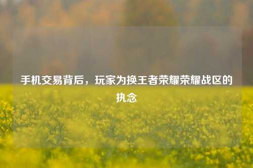 手机交易背后,玩家为换王者荣耀荣耀战区的执念
