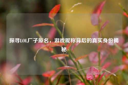 探寻LOL厂子原名,游戏昵称背后的真实身份揭秘