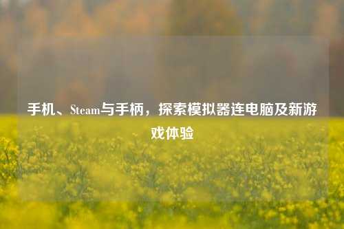 手机、Steam与手柄,探索模拟器连电脑及新游戏体验