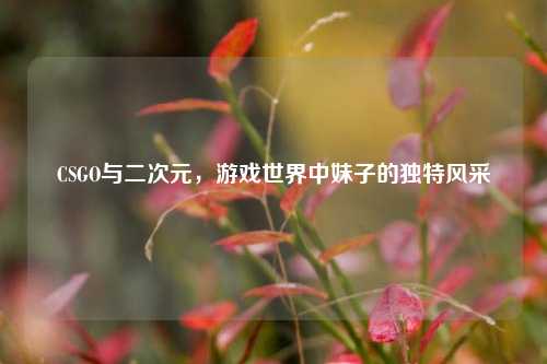 CSGO与二次元,游戏世界中妹子的独特风采