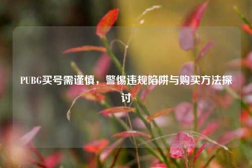 PUBG买号需谨慎,警惕违规陷阱与购买方法探讨
