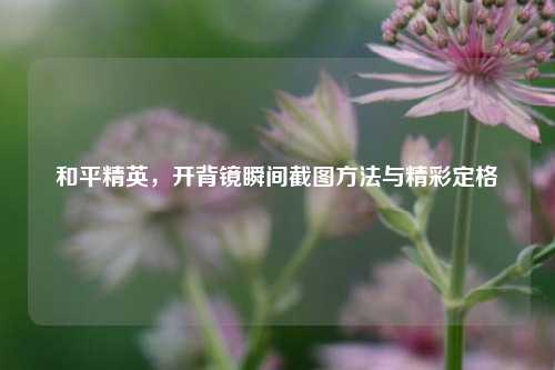 和平精英,开背镜瞬间截图方法与精彩定格