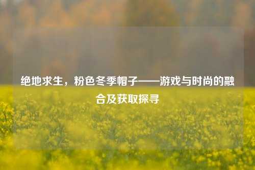 绝地求生,粉色冬季帽子——游戏与时尚的融合及获取探寻