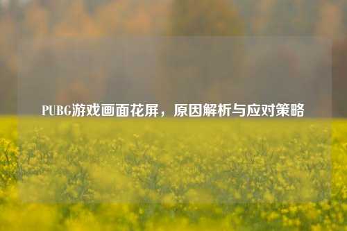 PUBG游戏画面花屏,原因解析与应对策略