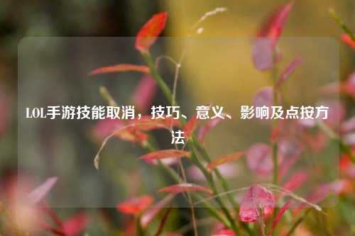 LOL手游技能取消,技巧、意义、影响及点按方法