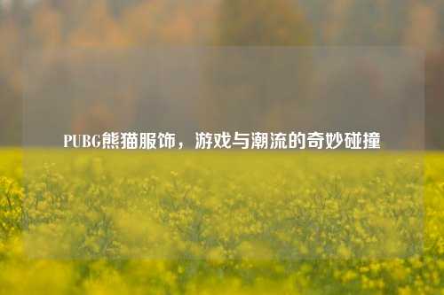 PUBG熊猫服饰,游戏与潮流的奇妙碰撞