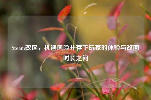 Steam改区,机遇风险并存下玩家的体验与改回时长之问
