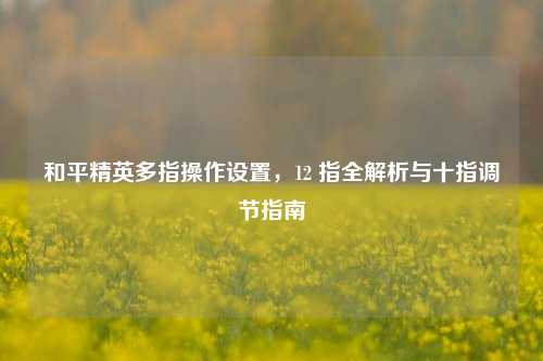 和平精英多指操作设置,12 指全解析与十指调节指南