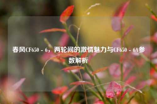 春风CF650 - 6,两轮间的激情魅力与CF650 - 6A参数解析
