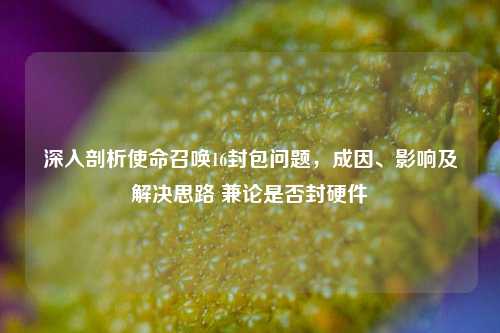 深入剖析使命召唤16封包问题,成因、影响及解决思路 兼论是否封硬件