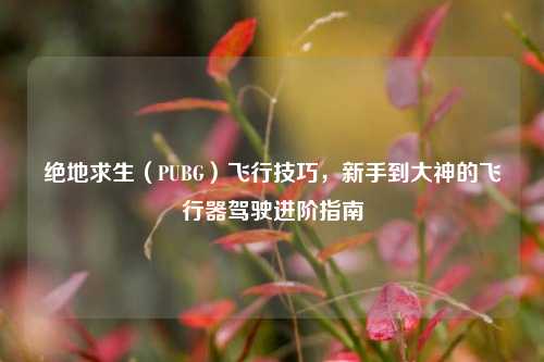 绝地求生(PUBG)飞行技巧,新手到大神的飞行器驾驶进阶指南