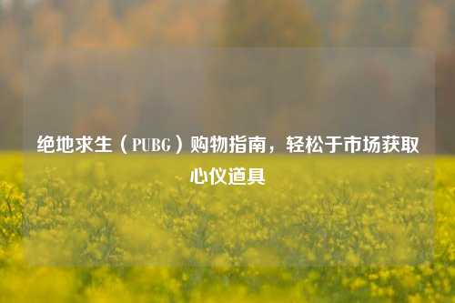 绝地求生(PUBG)购物指南,轻松于市场获取心仪道具