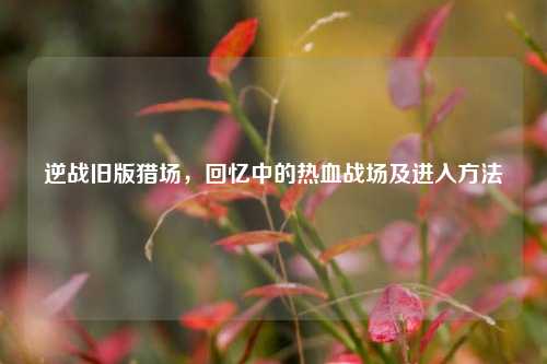 逆战旧版猎场,回忆中的热血战场及进入方法