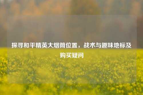探寻和平精英大烟筒位置,战术与趣味地标及购买疑问