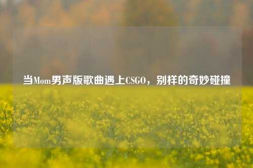 当Mom男声版歌曲遇上CSGO,别样的奇妙碰撞