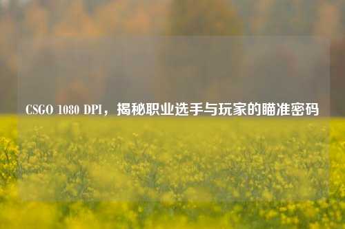 CSGO 1080 DPI,揭秘职业选手与玩家的瞄准密码