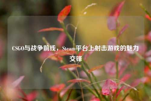 CSGO与战争前线,Steam平台上射击游戏的魅力交锋