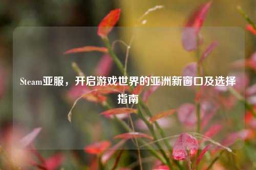 Steam亚服,开启游戏世界的亚洲新窗口及选择指南