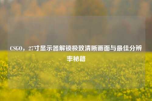 CSGO,27寸显示器解锁极致清晰画面与最佳分辨率秘籍