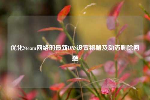 优化Steam网络的最新DNS设置秘籍及动态删除问题