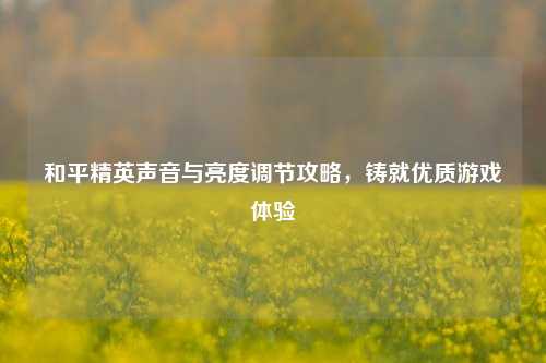 和平精英声音与亮度调节攻略,铸就优质游戏体验