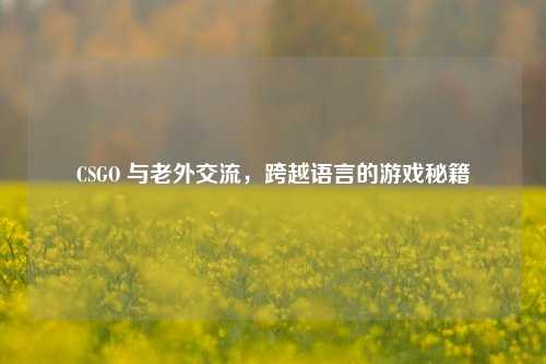 CSGO 与老外交流,跨越语言的游戏秘籍