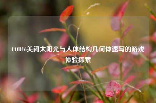 COD16关闭太阳光与人体结构几何体速写的游戏体验探索