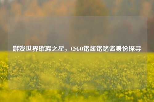 游戏世界璀璨之星,CSGO铭酱铭铭酱身份探寻
