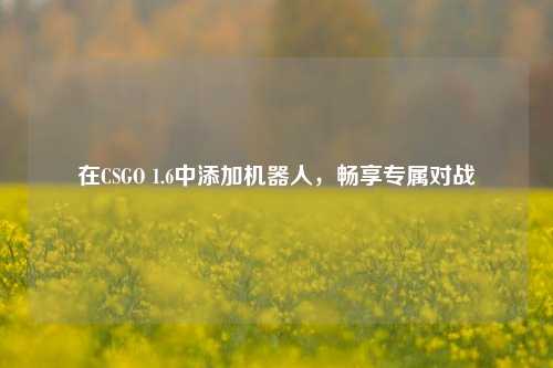 在CSGO 1.6中添加机器人,畅享专属对战