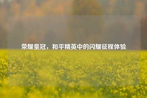 荣耀皇冠,和平精英中的闪耀征程体验
