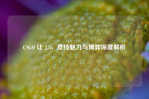 CSGO 让 2.5,竞技魅力与博弈深度解析