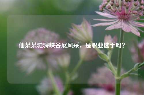 仙某某驰骋峡谷展风采,是职业选手吗?