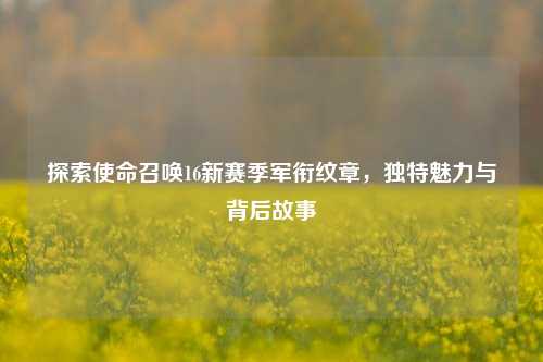 探索使命召唤16新赛季军衔纹章,独特魅力与背后故事