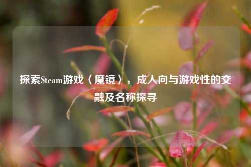 探索Steam游戏〈魔镜〉,成人向与游戏性的交融及名称探寻
