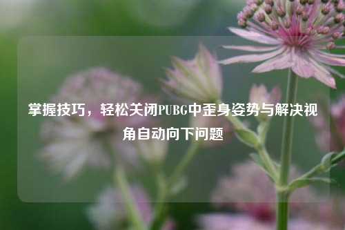 掌握技巧,轻松关闭PUBG中歪身姿势与解决视角自动向下问题