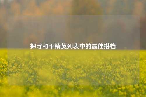 探寻和平精英列表中的最佳搭档