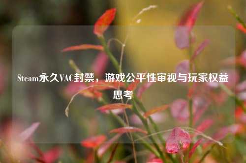 Steam永久VAC封禁,游戏公平性审视与玩家权益思考