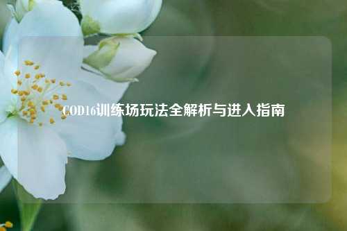 COD16训练场玩法全解析与进入指南