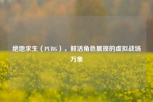 绝地求生（PUBG），鲜活角色展现的虚拟战场万象