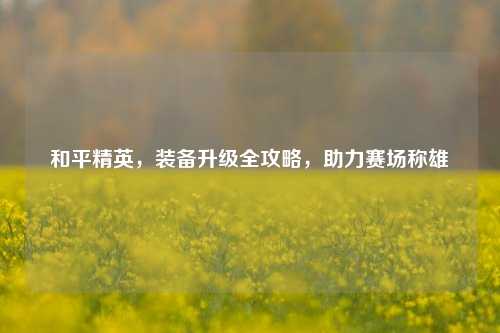 和平精英,装备升级全攻略,助力赛场称雄