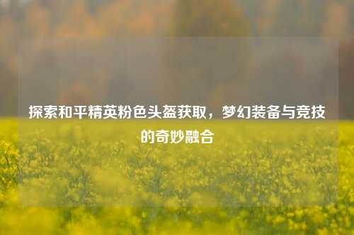 探索和平精英粉色头盔获取,梦幻装备与竞技的奇妙融合