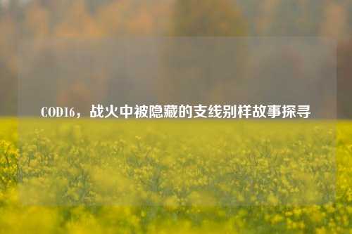 COD16,战火中被隐藏的支线别样故事探寻
