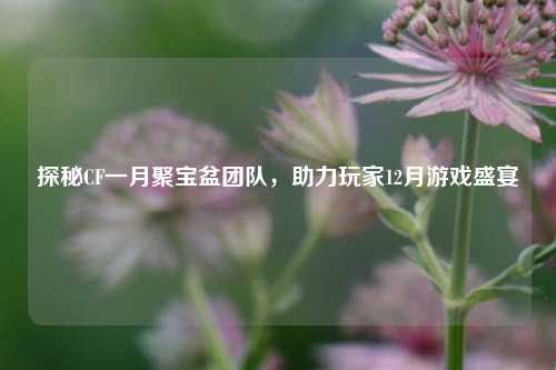 探秘CF一月聚宝盆团队,助力玩家12月游戏盛宴